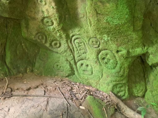 Petroglyphs of faces on a moss covered wall