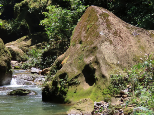 A rock in the river with one face covered in petroglyphs