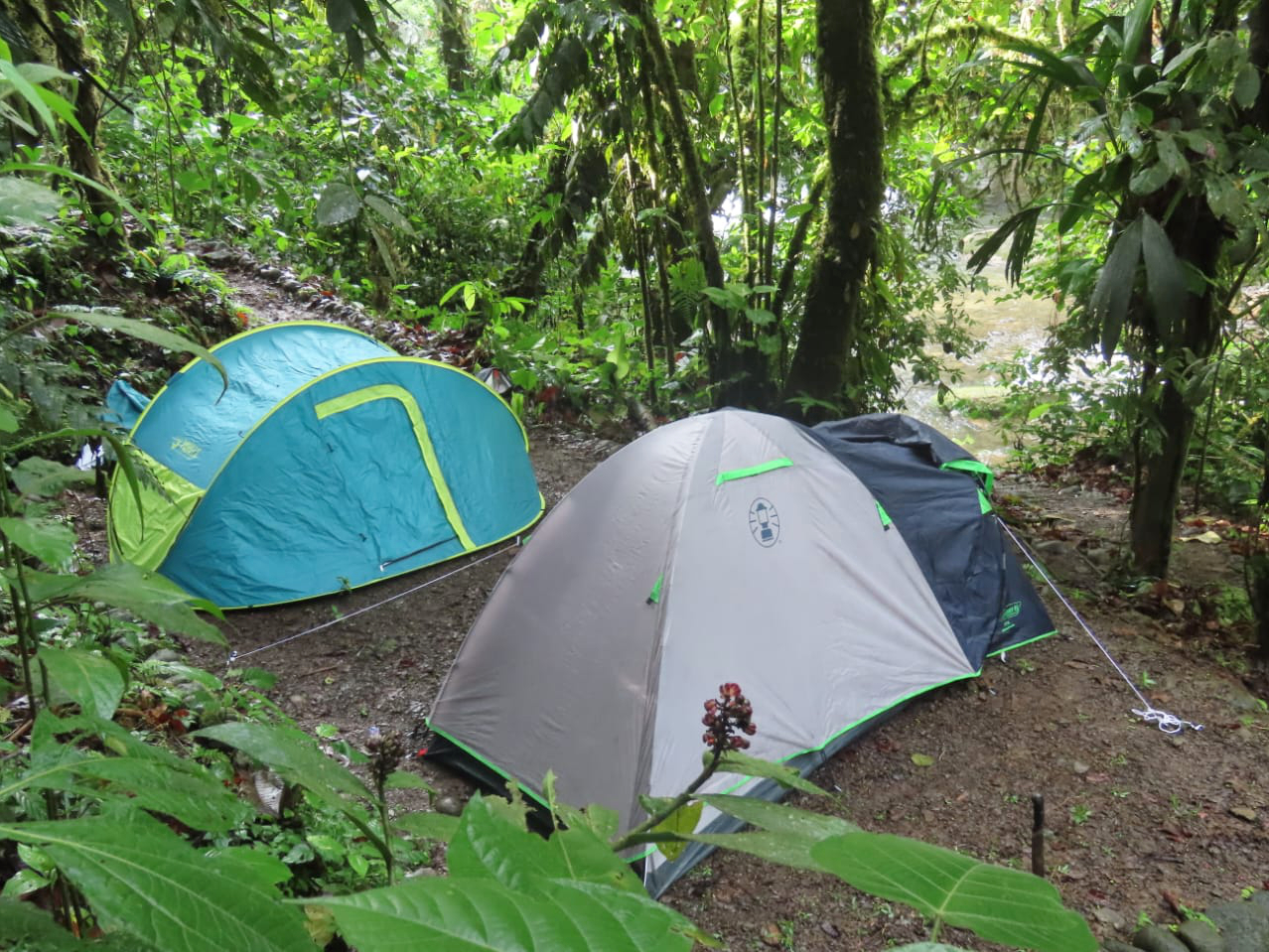 We also offer tent camping on our property. 