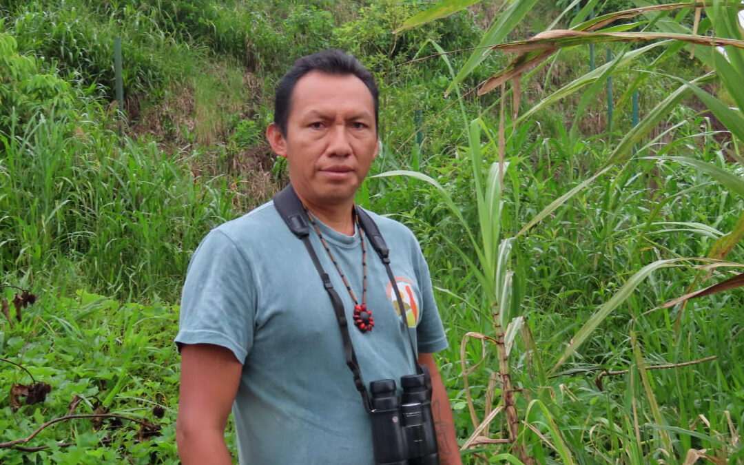 Edwin Tanguila: From Naranjilla Farmer to Conservation Hero