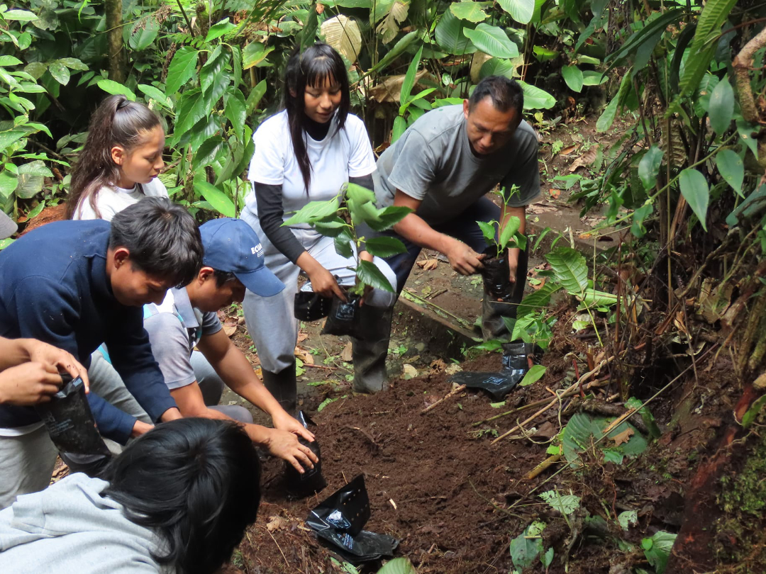 Edwin plantando árboles con los alumnos