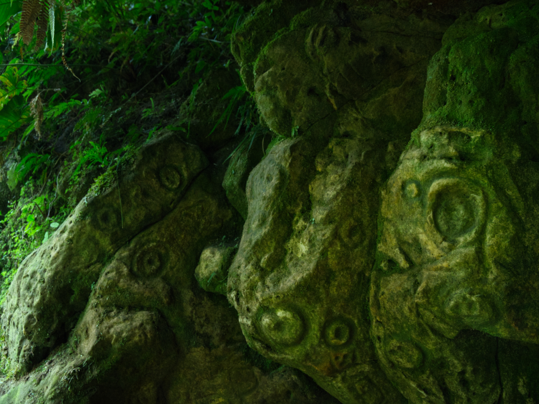 Hidden in the depth of an open cave, petroglyphs glow with reflected green light from moss and dense forest