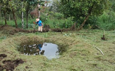 We’re Celebrating A New Grant from Earth Rising Foundation!